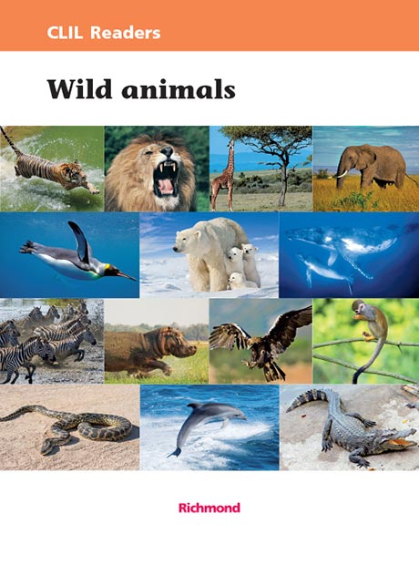 Wild_Animals_g